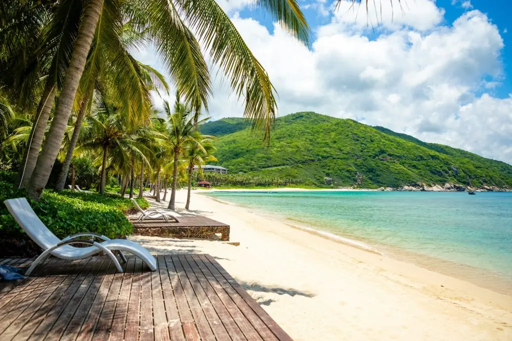 Empty beach resort with palm trees