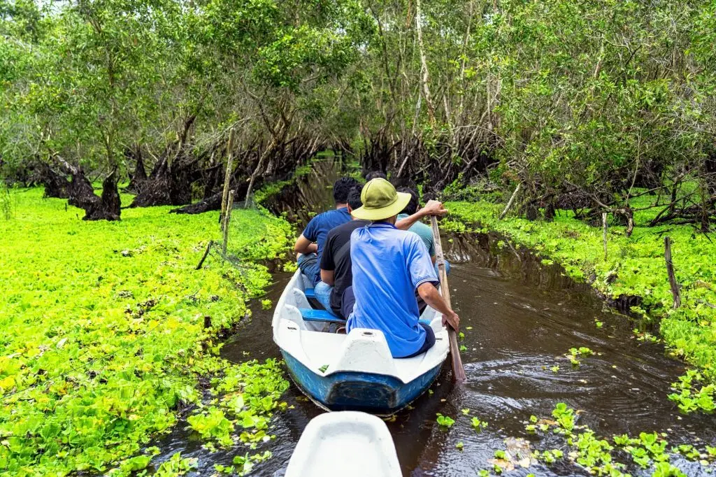 traveler sightseeing over the traditional boat in tra su forest, Mekong Delta travel, vietnam