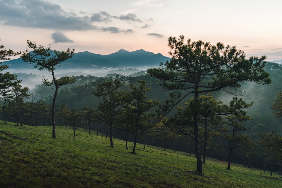Da Lat landscape and nature 2026